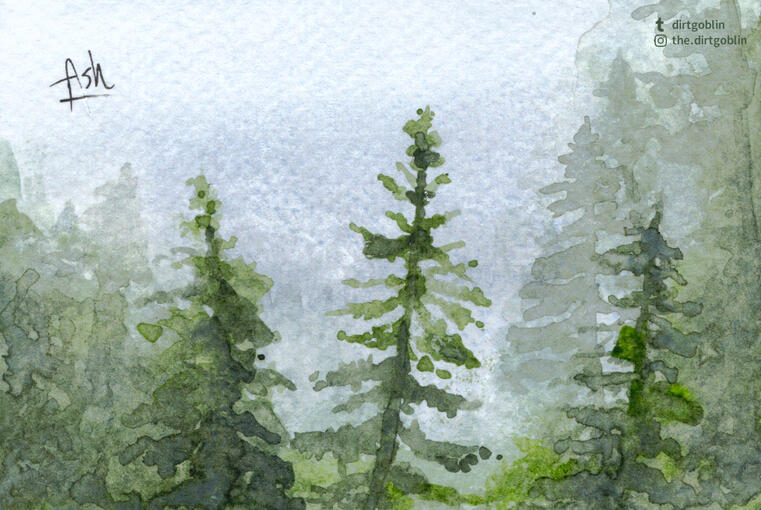 Foggy Forest